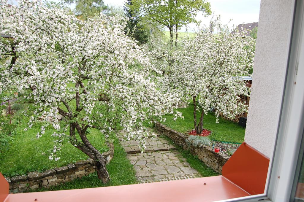 Penzion Belvia Nová Lesná Εξωτερικό φωτογραφία